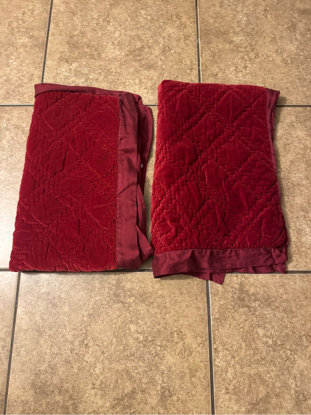 2 Pottery Barn velvet / Silk pillow shams